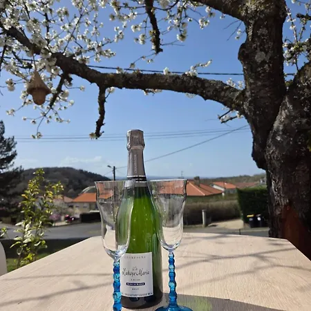 La P'tite Créole Appartement *