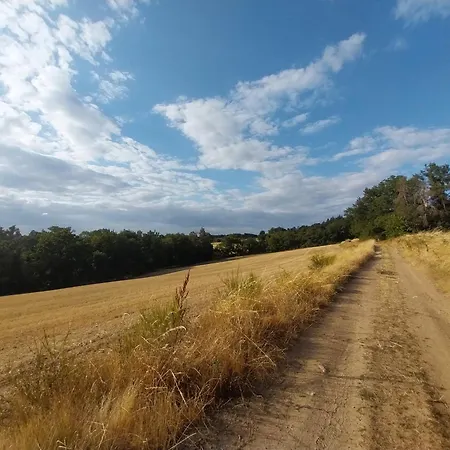 La P'tite Creole Auzon